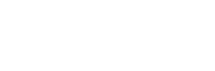 Gold Solution Partner white 