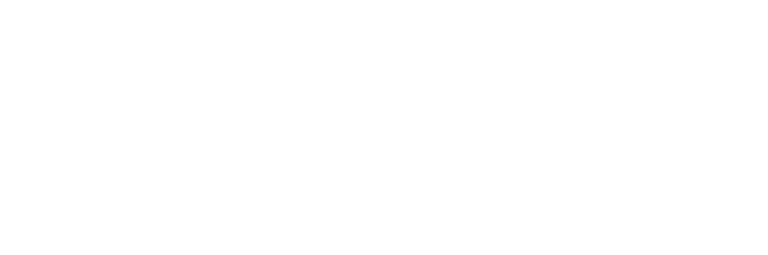Gold Solution Partner white Gold Solution Partner white