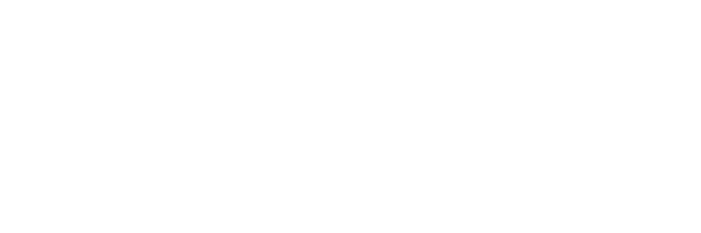 Silver Solution Partner white (1)
